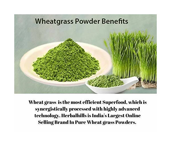 Herbal Hills Wheat-O-Power Wheatgrass Powder