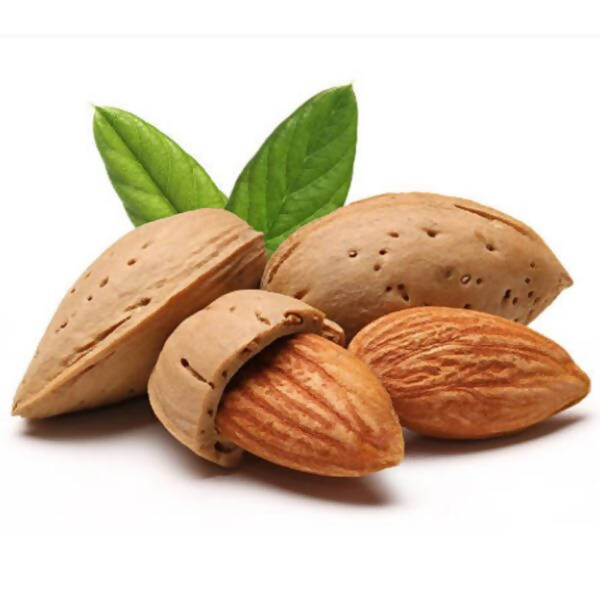 Freshon Almond / Badam Premium (with Rich oil)