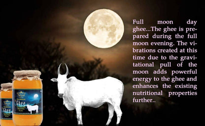 Tatsat Full Moon Day Ghee From Forest Gazing Amruth Mahal A2 Cows