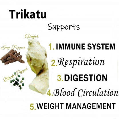 Himalaya Wellness Pure Herbs Trikatu Digestive Wellness