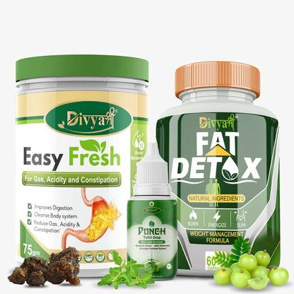 Divya Shree Fat Detox Capsule + Easy Fresh Powder & Punch Tulsi Drop Gas Combo Kit -  usa australia canada 