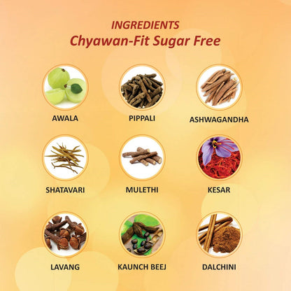 Baidyanath Chyawan-Fit Sugarfree