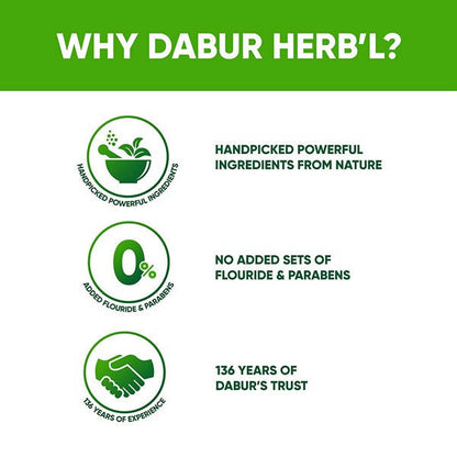 Dabur Herb'l Tulsi - Anti-Bacterial Toothpaste