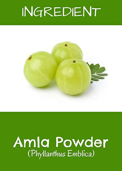 MR Ayurveda Amla Fruit Powder