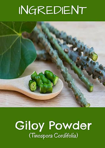 MR Ayurveda Giloy Powder