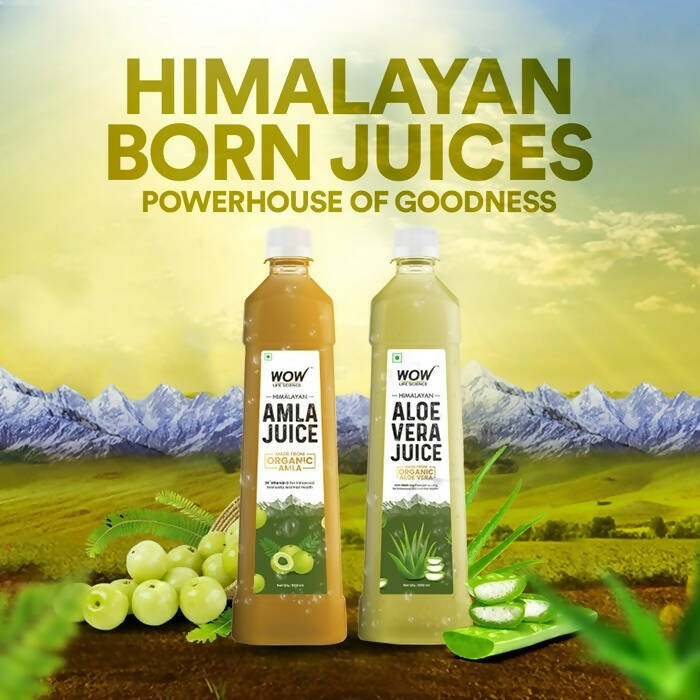 Wow Life Science Himalayan Aloe Vera Juice