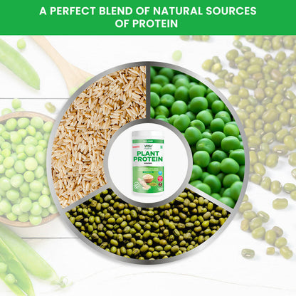 Vasu Healthcare Nutra 100% Pure Plant Protein Powder
