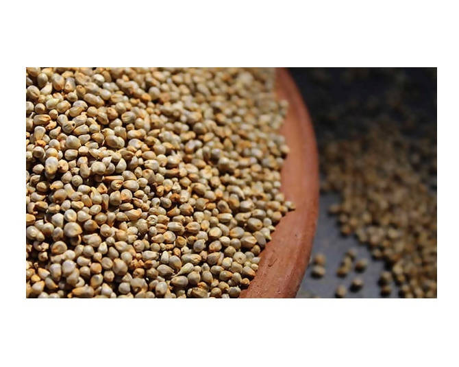 Millet Amma Bajra (Pearl Millet) Organic