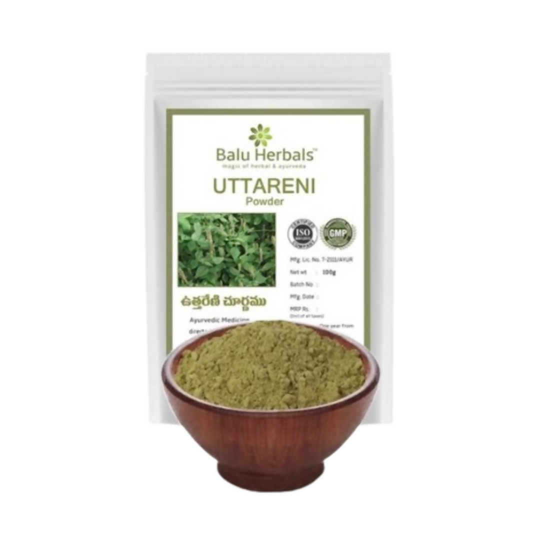 Balu Herbals Apang Seeds (Uttareni Ginjalu) Powder