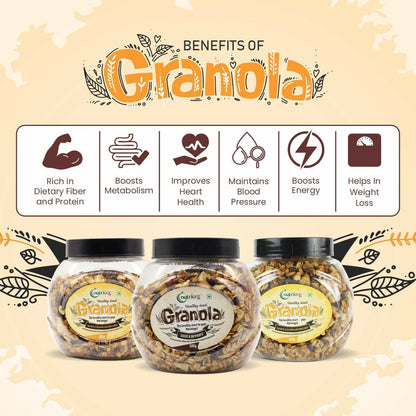 Nutriorg Crunchy Granola Seeds & Dry Fruit Flavor