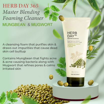 The Face Shop Herb Day 365 Master Blending Foaming Cleanser- Mungbean & Mugwort