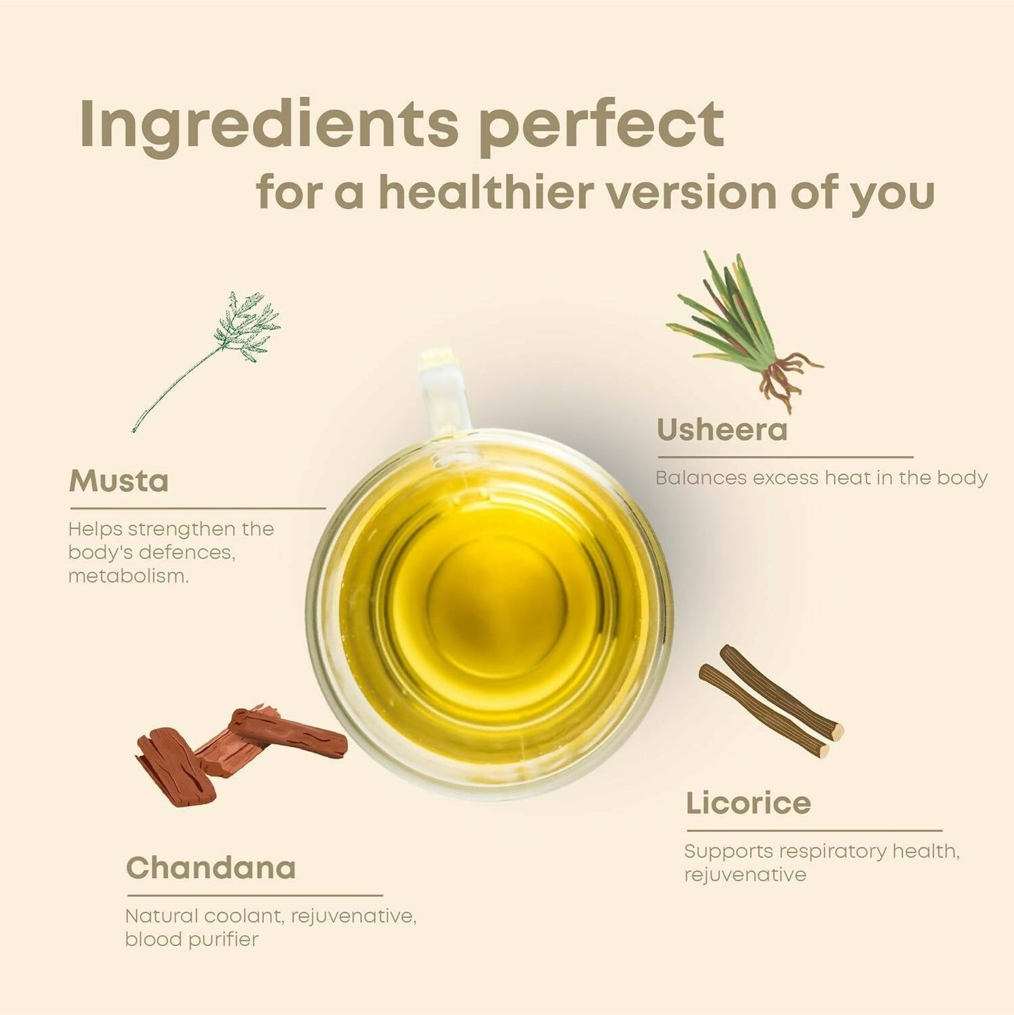 Shivamastu Ayurveda Wellnessbrew Herbal Tea