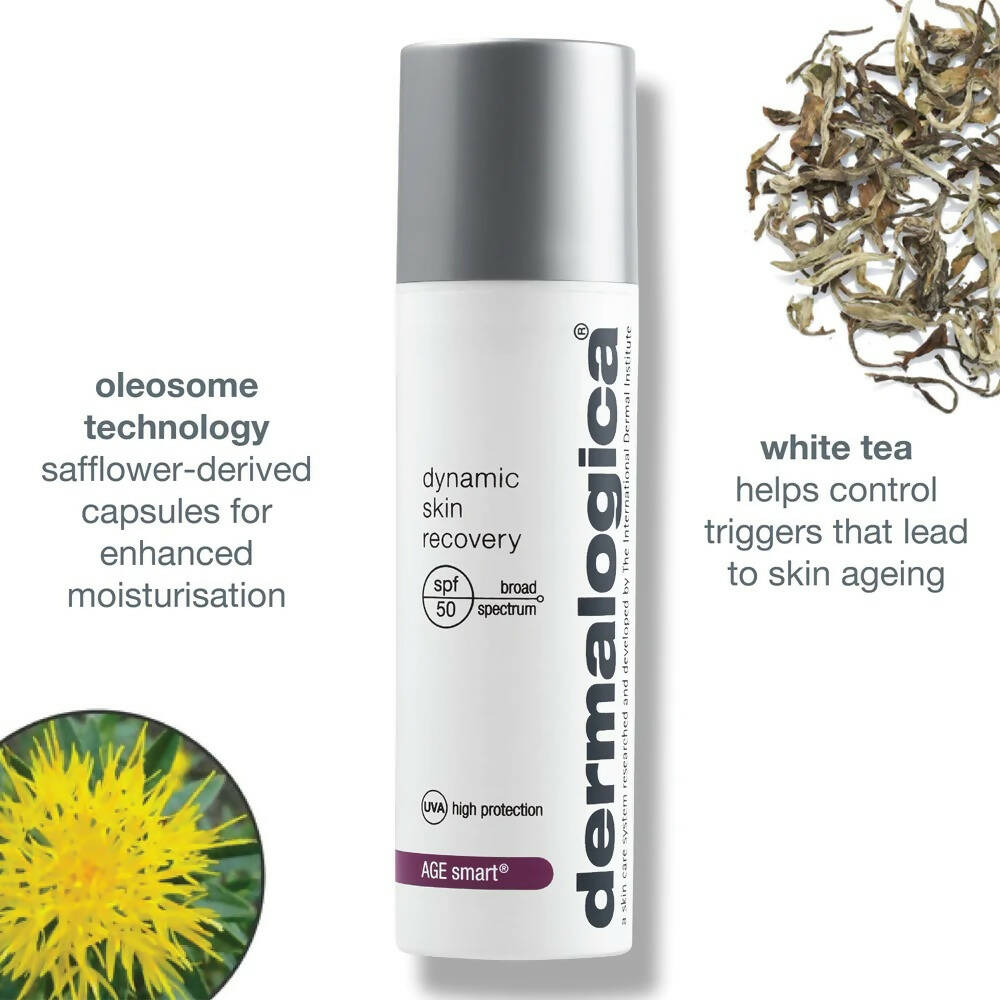 Dermalogica Dynamic Skin Recovery SPF 50 Face Moisturizer & Sunscreen