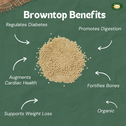 Millet Amma Organic Browntop Millet Grains