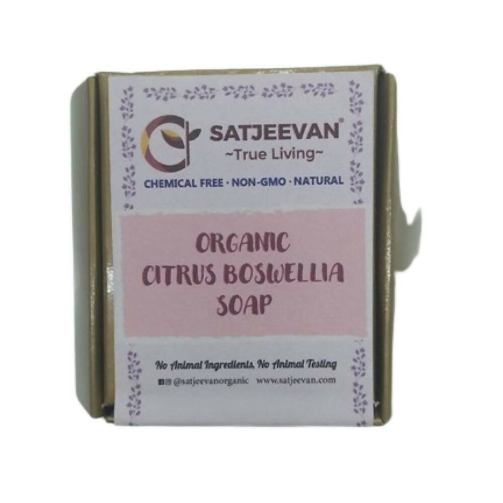 Satjeevan Organic Citrus Boswellia Soap