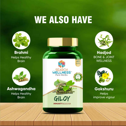 Search Wellness Giloy Capsules