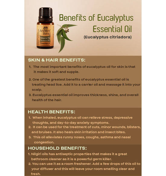 Ancient Living Tailaparna Tila (Eucalyptus Oil) Essential Oil