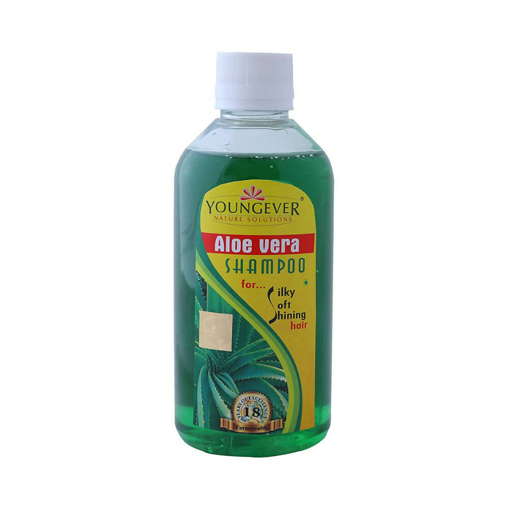 Youngever Aloe Vera Shampoo - BUDEN