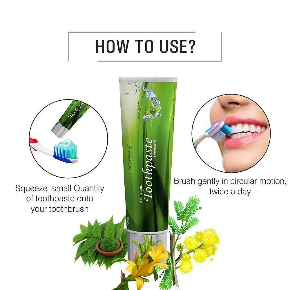Bio Resurge Life Herbal Ayurvedic Spearmint Toothpaste
