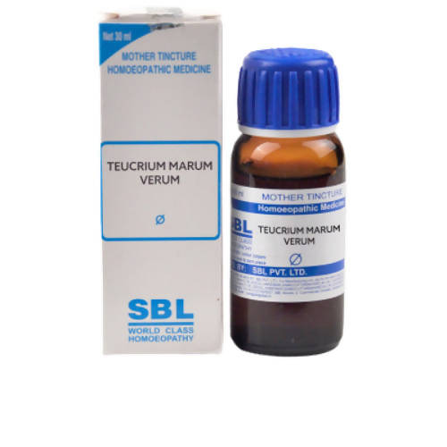 SBL Homeopathy Teucrium Marum Verum Mother Tincture Q - BUDEN