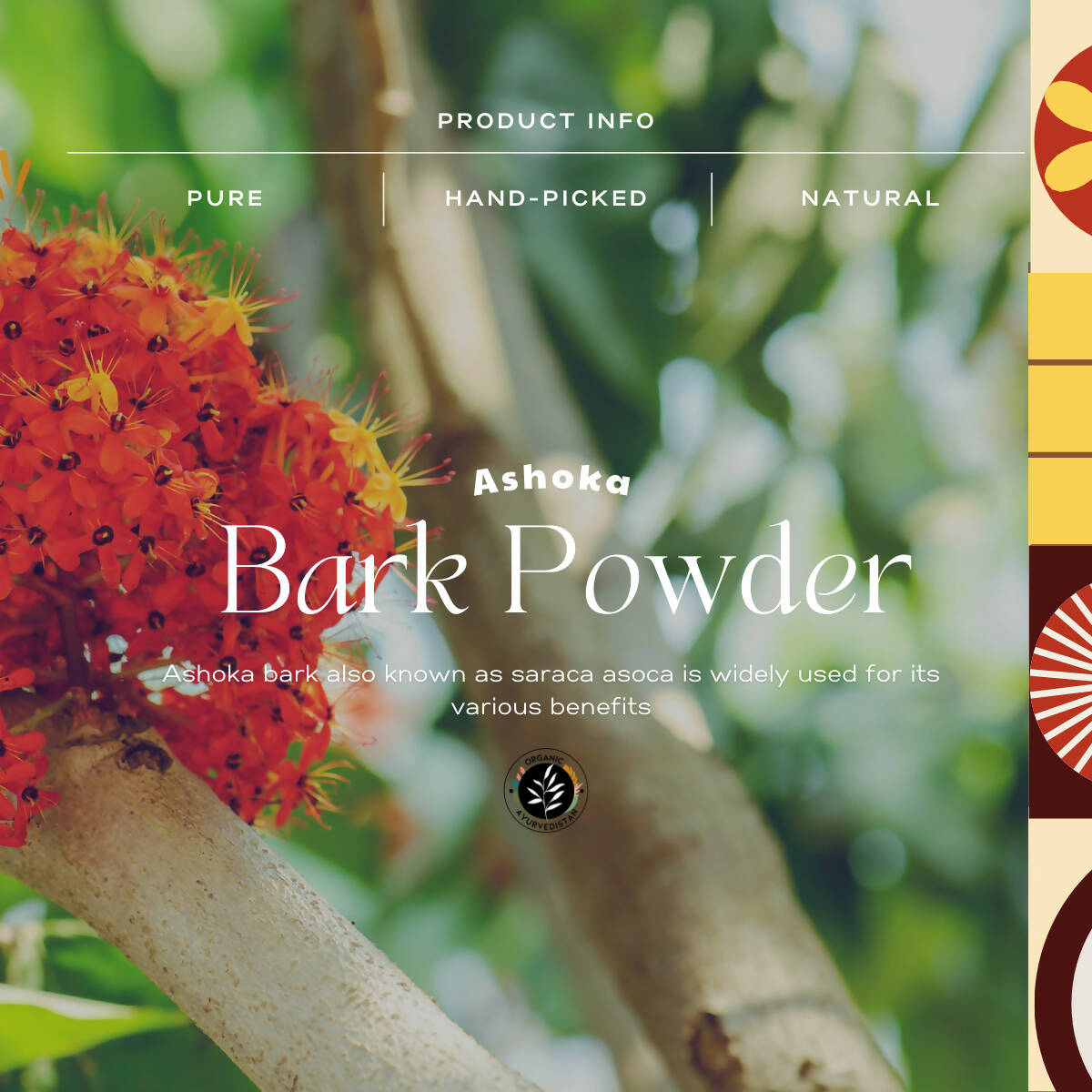 Organic Ayurve USA, Australia, Canada n Ashoka Bark Powder
