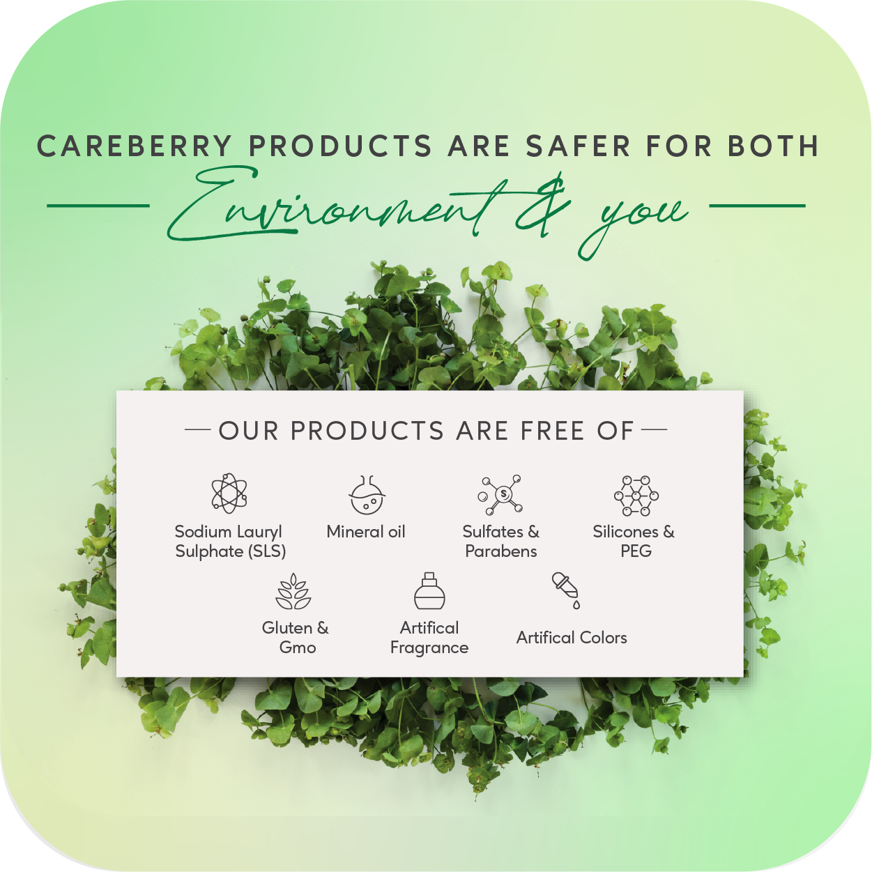 Careberry Organic Tea Tree Eucalyptus Oil Shower Gel