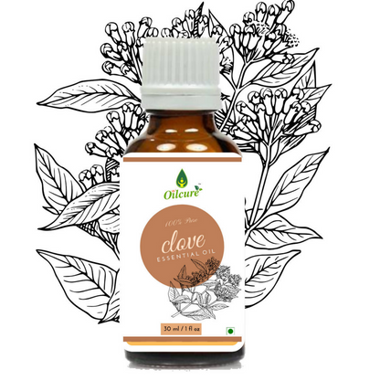 Oilcure Clove Oil - BUDEN