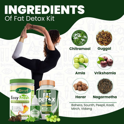 Divya Shree Fat Detox Capsule + Easy Fresh Powder & Punch Tulsi Drop Gas Combo Kit