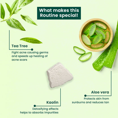 Vasu Healthcare Botanicals Tea Tree 3 in 1 Face Mask-Scrub-Wash