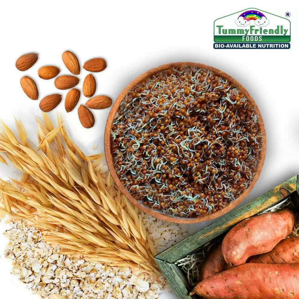 TummyFriendly Foods Certified Organic Multi-Grain, Sprouted Ragi, Oats, Red Lentil, Banana and Sathu Maavu Porridge Mixes Combo