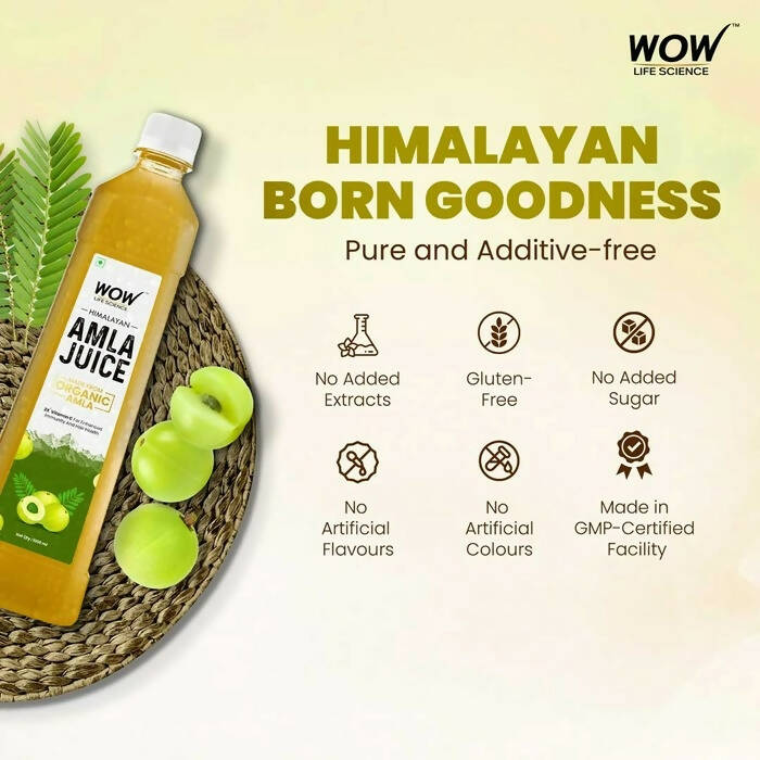 Wow Life Science Himalayan Amla Juice