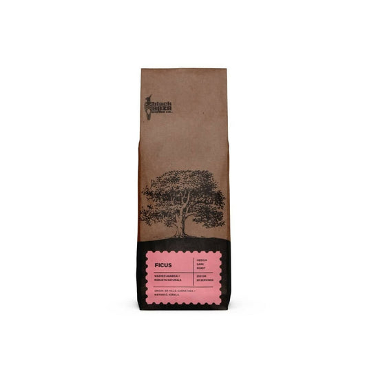 Black Baza Coffee Ficus - BUDNE
