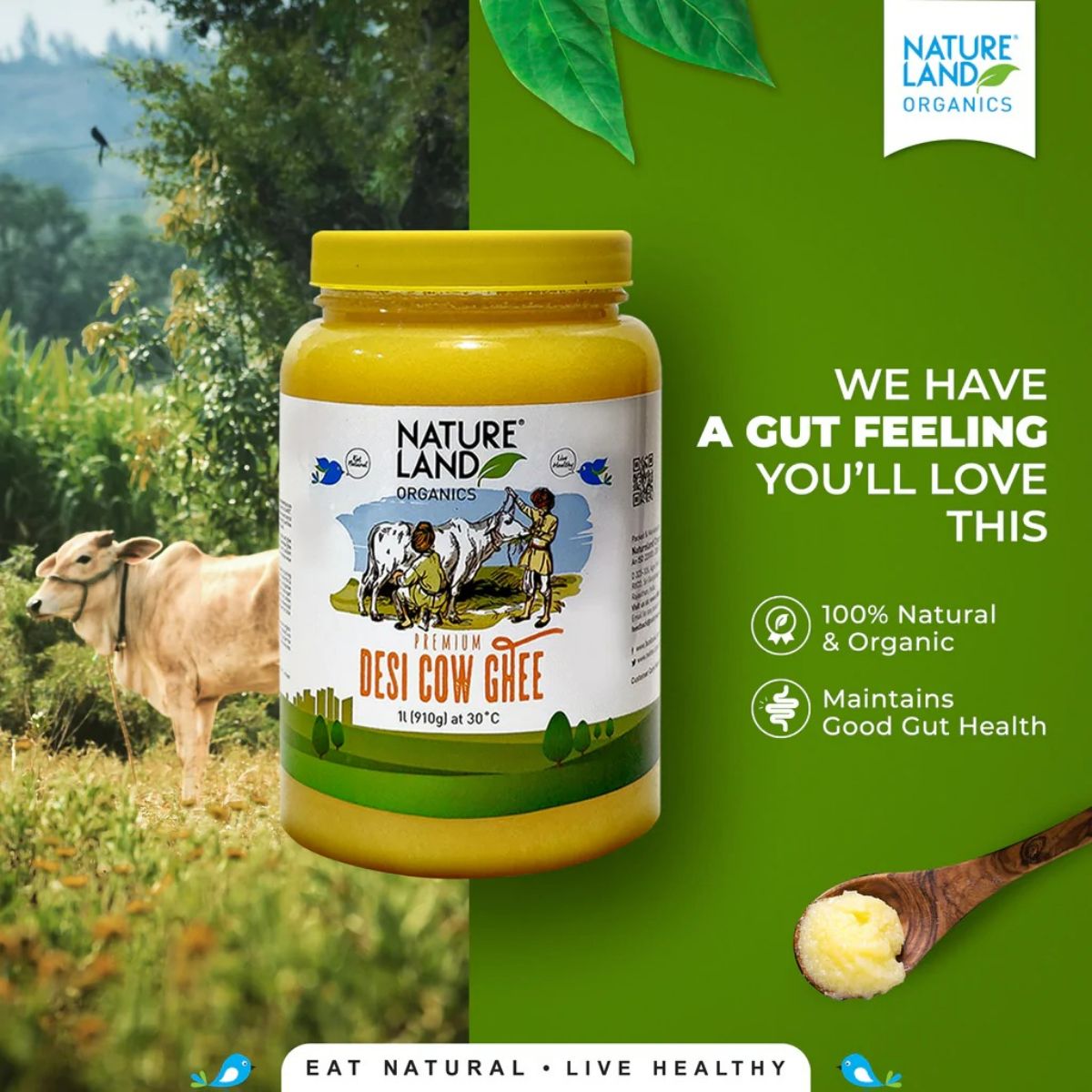 Nature Land Organics Premium Desi Cow Ghee