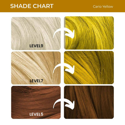Anveya Semi Permanent Hair Color - Cairo Yellow