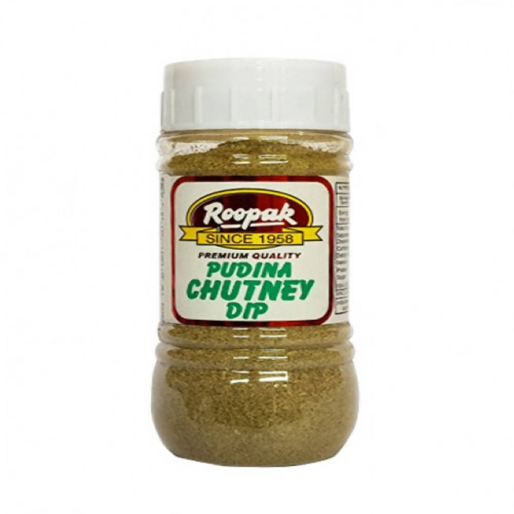 Roopak Pudina Chutney Dip - BUDNE