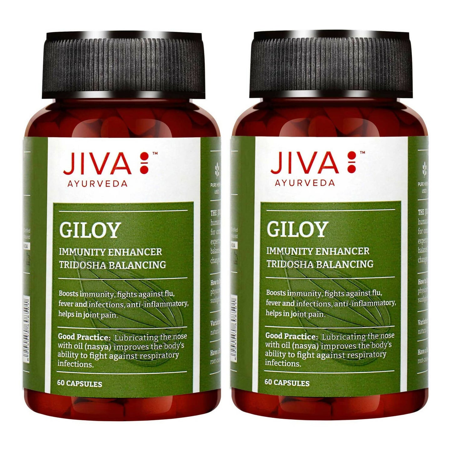 Jiva Ayurveda Giloy Capsules - usa canada australia