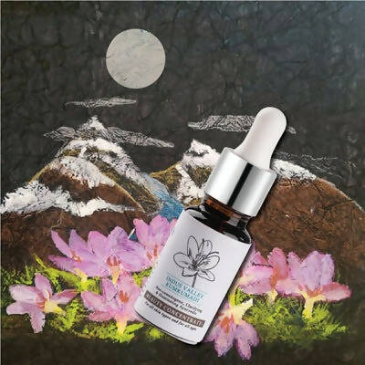 Timeless Beauty Secrets Indus Valley Organic Kumkumadi Beauty Oil