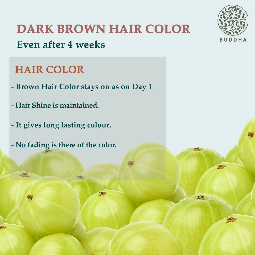 Buddha Natural Dark Brown Hair Color