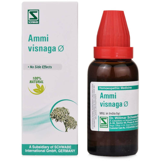 Dr. Willmar Schwabe India Ammi Visnaga Mother Tincture Q