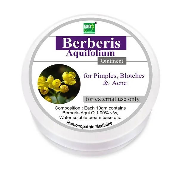 Bio India Homeopathy Berberis Aquifolium Ointment