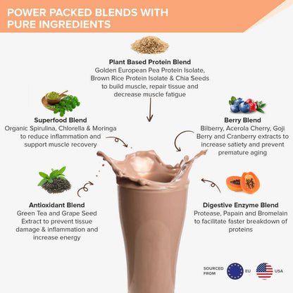 Wellbeing Nutrition Superfood Plant Protein-Dark Chocolate Hazelnut