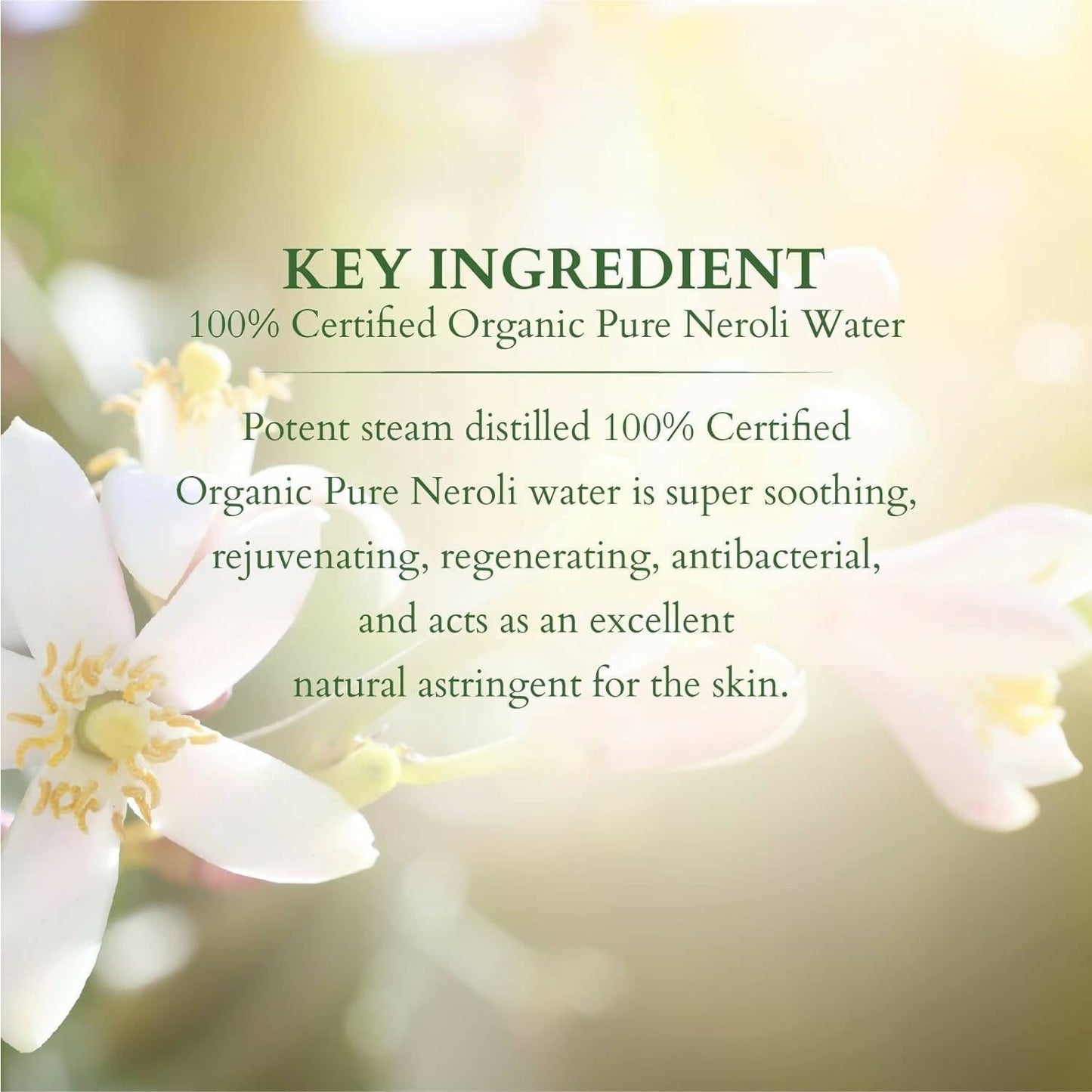 Lotus Organics+ 100% Pure Neroli Floral Water
