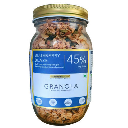 Thenibblebox Blueberry Blaze Granola - BUDNE