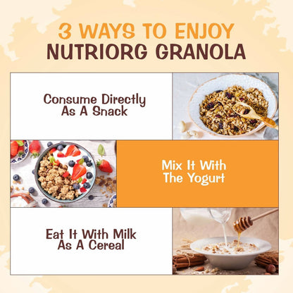 Nutriorg Crunchy Granola Seeds & Dry Fruit Flavor