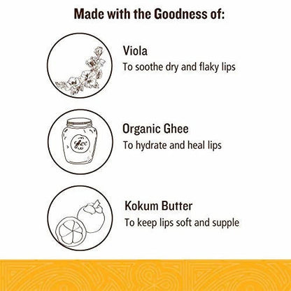 Soultree Viola & Kokum Butter Lip Balm