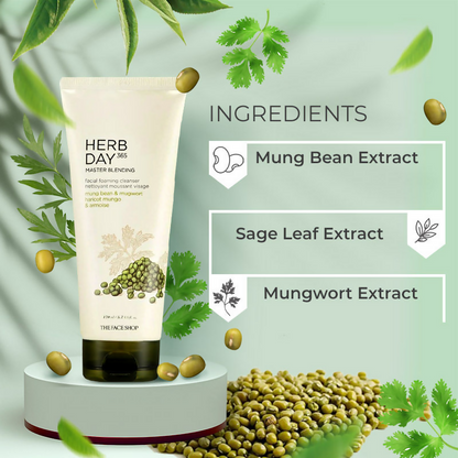 The Face Shop Herb Day 365 Master Blending Foaming Cleanser- Mungbean & Mugwort