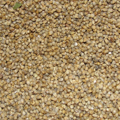 Freshon Pearl Millet - Natural