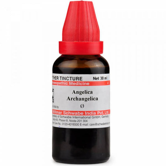 Dr. Willmar Schwabe India Angelica Archangelica Mother Tincture Q