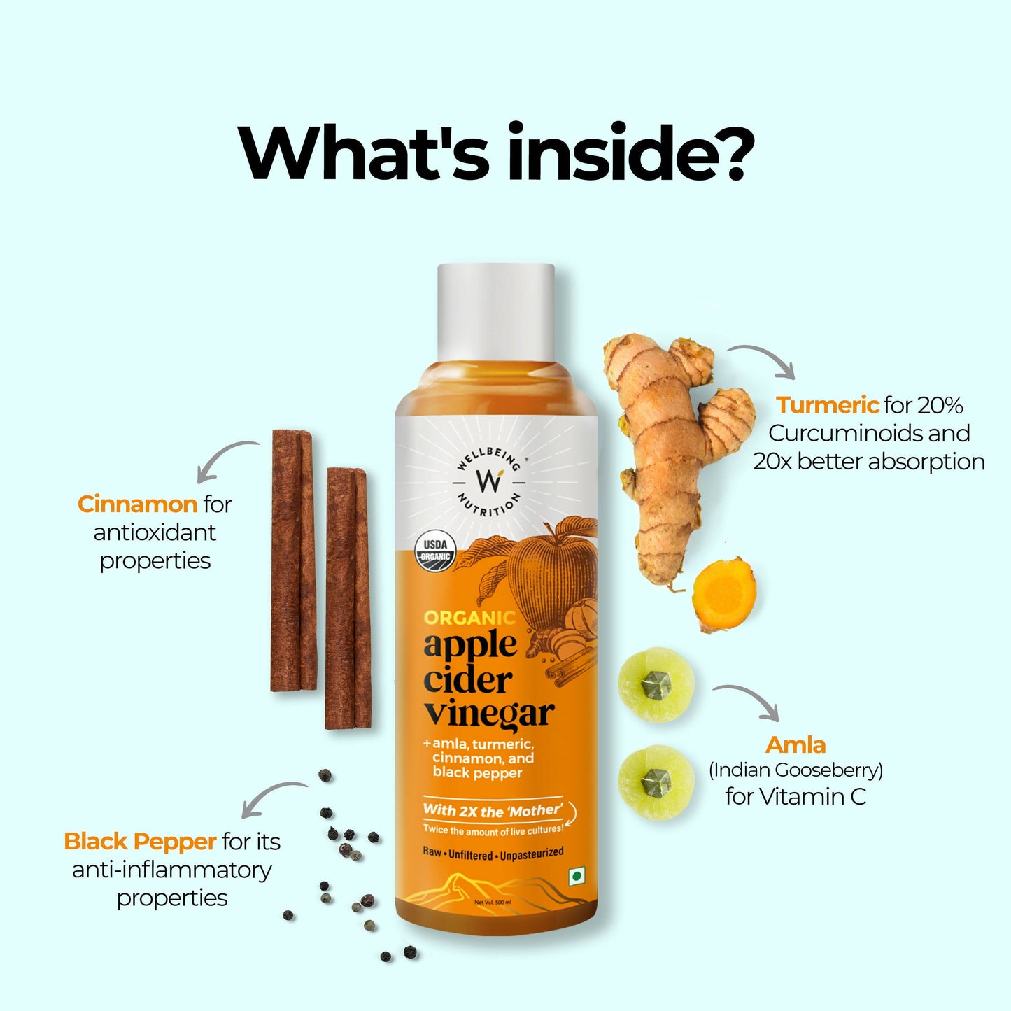 Wellbeing Nutrition Apple Cider Vinegar with Amla And Turmeric
